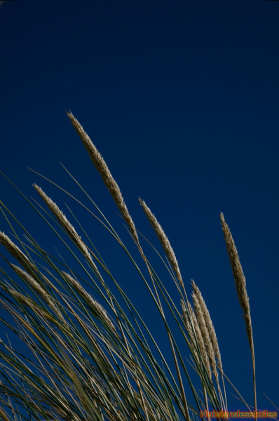 HUB_09_0421.JPG